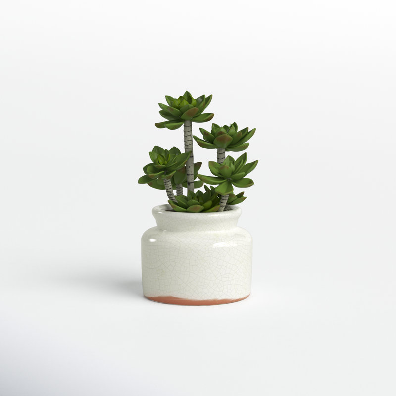 11'' Faux Succulent in Ceramic Pot