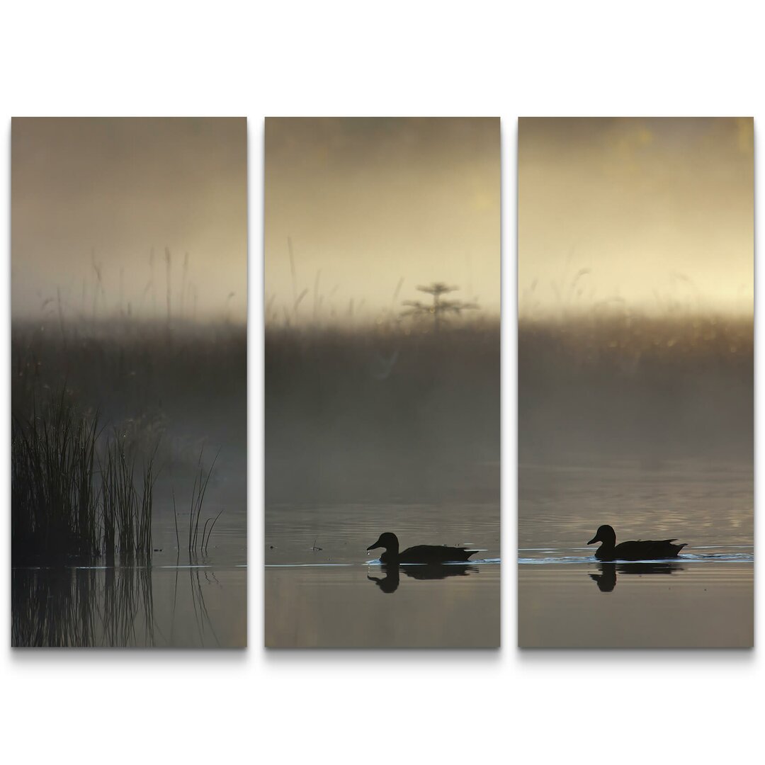 3-tlg. Leinwandbilder-Set Stockenten bei Nebel im Sonnenuntergang