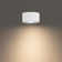Peek LED Flush Mount