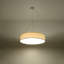  Light Drum Pendant-124651477-20193524