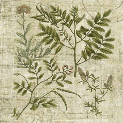 Garden Verses II by Vision Studio - Wrapped Canvas Print