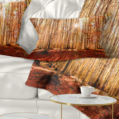 Reversible Throw Pillow