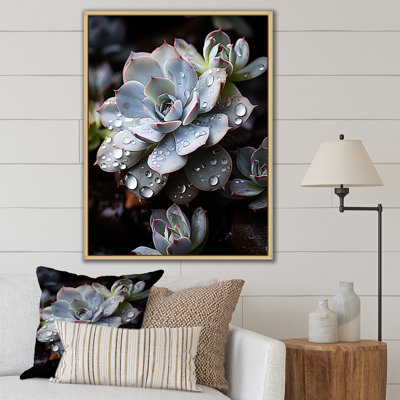 Bleu succulent explosion