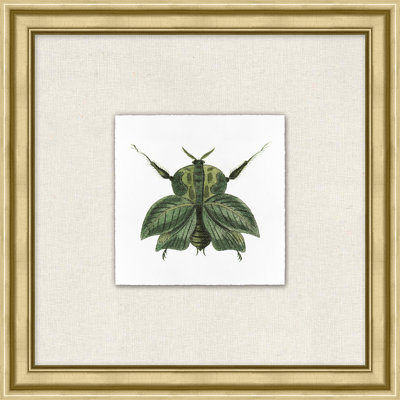 Flying Specimen 8 Painting by Lillian August