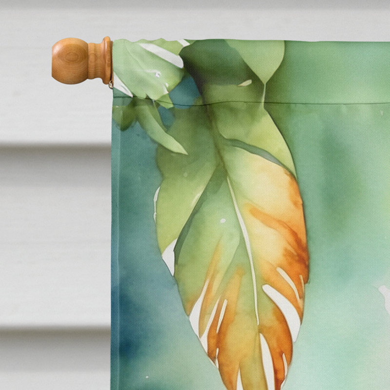 Drapeau pour la maison, Perroquet jaco