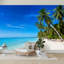 Papier peint adhésif auto-adhésif moderne pour la chambre à coucher avec plage tropicale L 100 po x l 144 po Peel and Stick