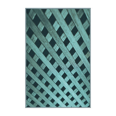 Tapis 100% à motifs lavables à la machine 2989_PAT3586_LBLU