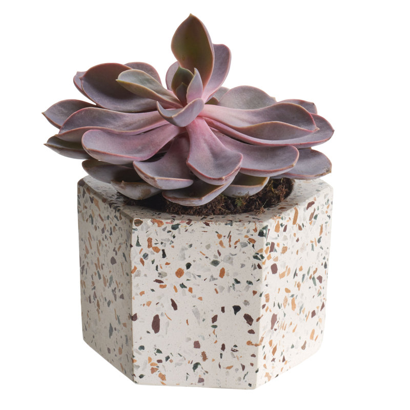 Stoneware Table Vase