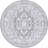 Oriental Indoor Rug-1676657650