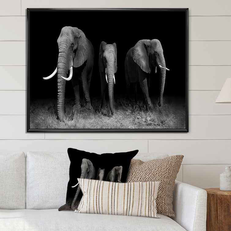 Ebern Designs Elephants In Black And White Framed On Canvas Painting  Wayfair