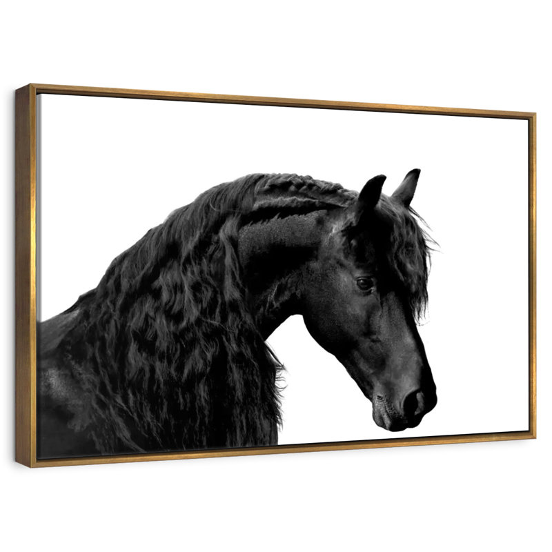 Noir classique I, Cadre flottant doré, 31 po x 21 po