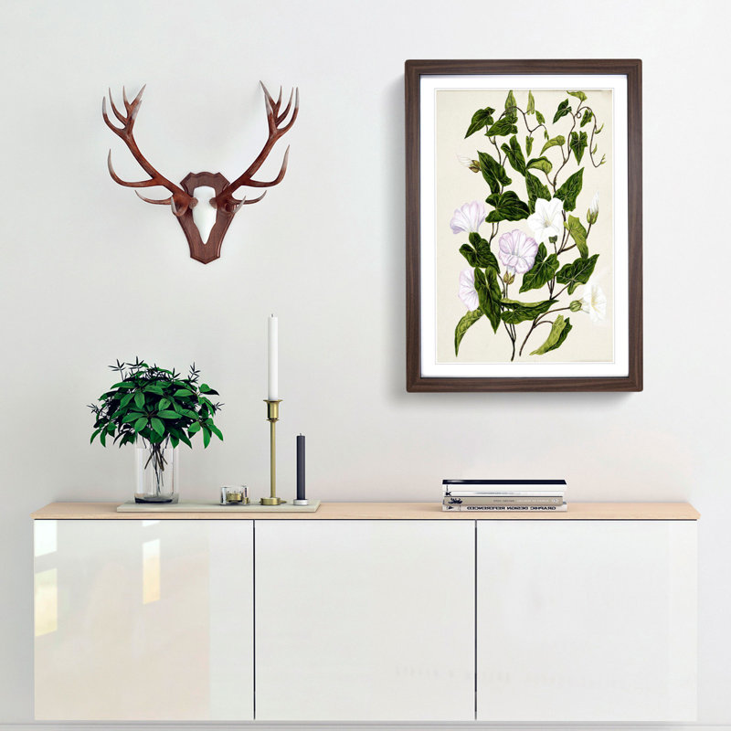 Bindweed Flowers by Sarah Featon - Framed Print, 60cm H x 40cm W x 2cm D, Walnut