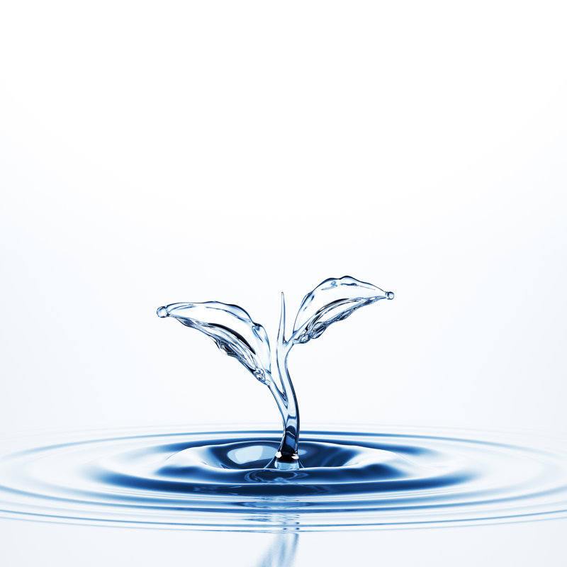 Water Sprout Splash by BlackJack3D - No Frame Art Prints on Canvas, 51cm H x 51cm W