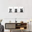 Trois chats, reproduction sur toile-1113385938