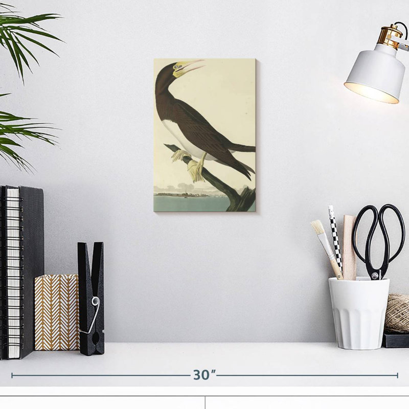 Brampt Booby Gannet, 12" H x 8" W
