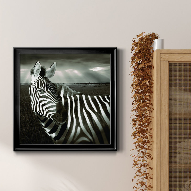 Zèbre au Kenya - Cadre photo, impression sur toile, H 26,5 po x l 26,5 po x P 1,5 po, Cadre noir