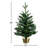White 2' Pre-Lit Pine Christmas Tree