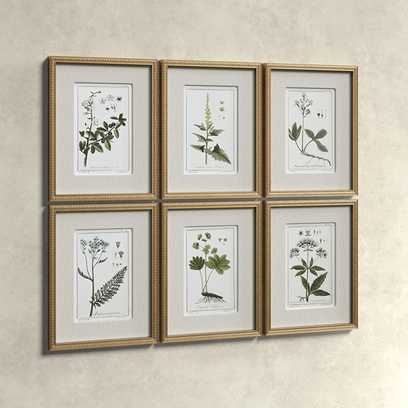"Green Floral Botanical Study" - 6 Piece Art Set