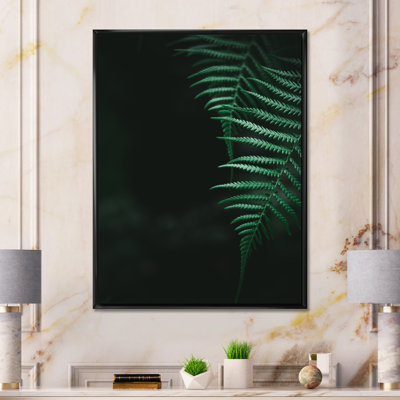 Motif de fougère naturelle vert foncé I - impression sur toile tropicale