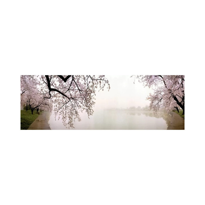 Cherry Blossoms At The Lakeside Washington Dc, Usa - Wrapped Canvas Panoramic Print, 182.88 cm H x 60.96 cm W