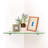 Nicholaus 1 Piece Triangle Glass Corner Shelf