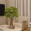Hortensias blancs en vase en verre transparent-728382051-728382060