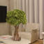 White Hydrangeas In Clear Glass Cylinder Vase-875334976-875334991
