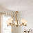 Kohlman 5-Light Chandelier in Warm Brass-1060376523-1060376526