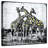 Brampt Giraffes Pop-109209844