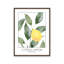 «Lemon Tree» par Susan Ball, reproduction d'art-982788830-982788826-982788834