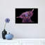 Huckleberry the Highland Cow 1 Piece Wrapped Canvas Painting-950189472-950189479