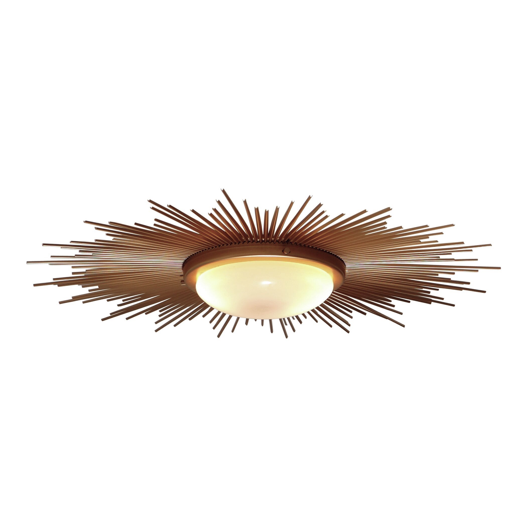 Sunburst flush shop mount light