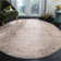 Coyer Performance Oriental Rug