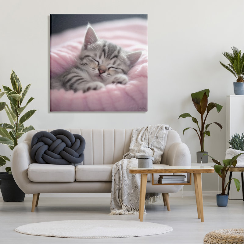 Chaton doux rentré par Roozbeh, H 36 po x l 36 po x P 1,5 po