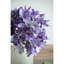 Ensemble de 12 hortensias 14 "Almost-Real 14"-100693153