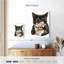 Brampt Purrfect Morning-106971091