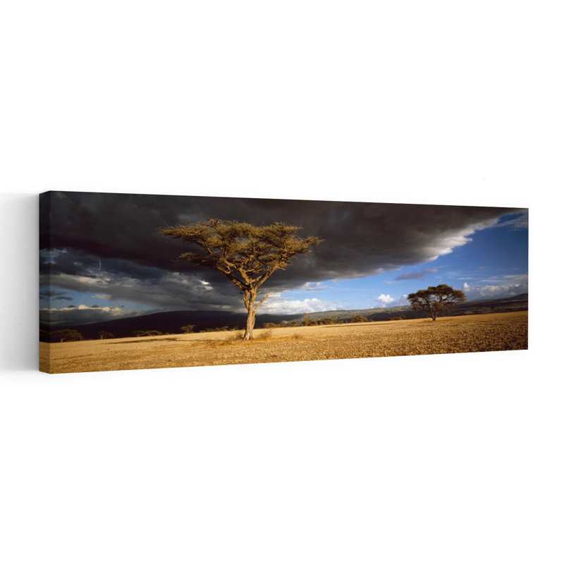 Arbre W, nuages de tempête, Tanzanie, paysage contemporain abstrait, art mural, H 20 po x l 60 po