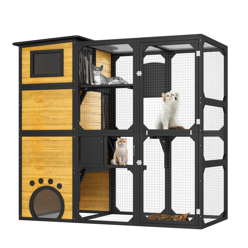 Grande cage pour chat à 4 niveaux Catio