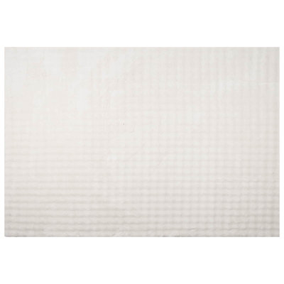 Modern Indoor Rug