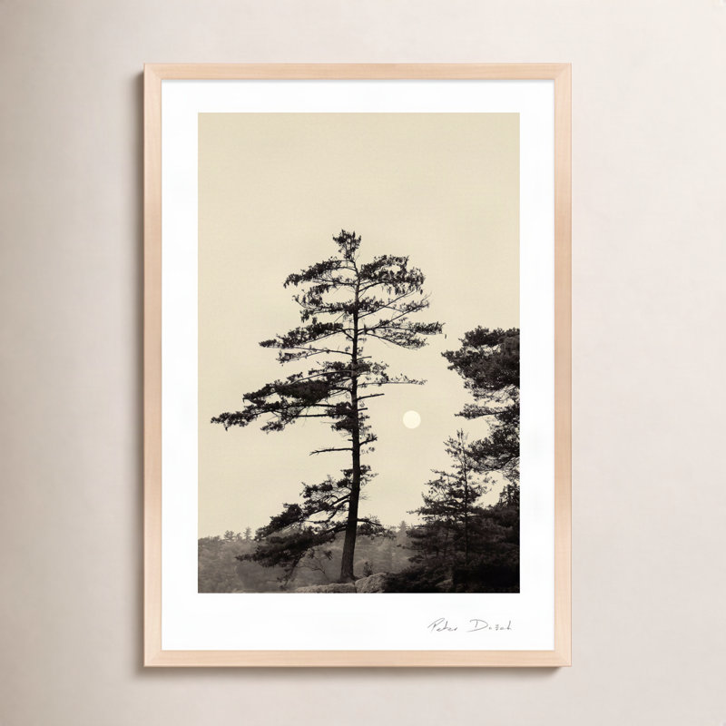 Serenity Print by Peter Dušek, Brown, 25" H x 17.5" W x 1.25" D