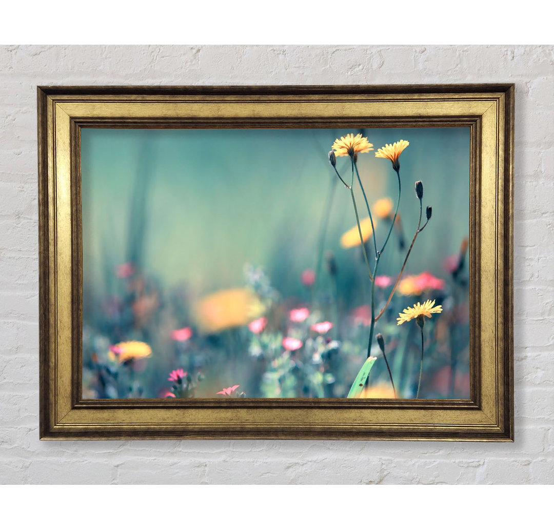 Dandelion Garden - Bilderrahmen Kunstdrucke