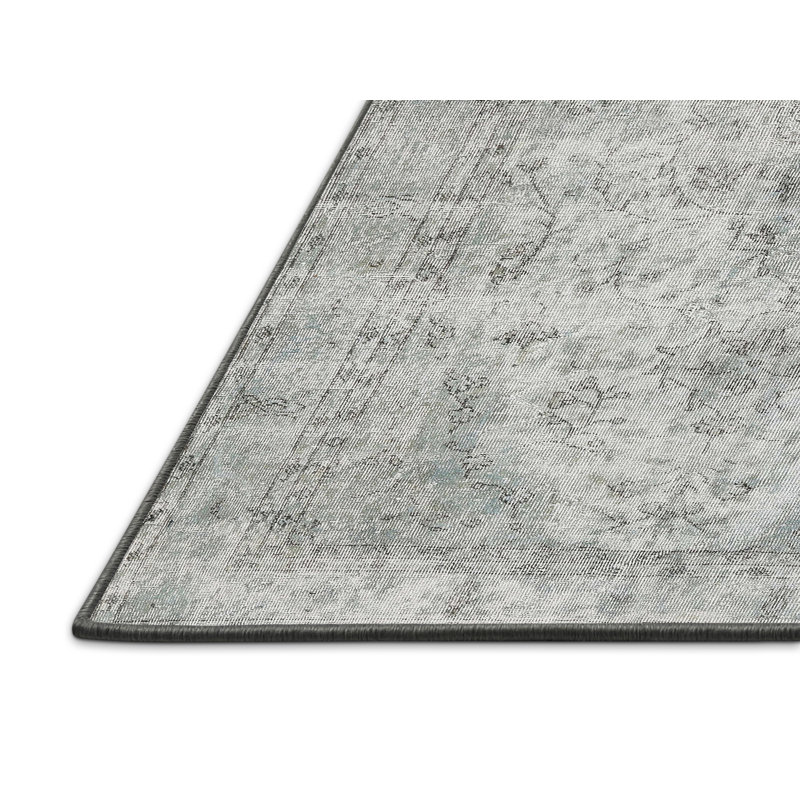 Renuka Oriental Indoor Rug, Rectangle 2' x 5'