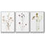 Pressé botanique I 3 pièces-97711650-97711649