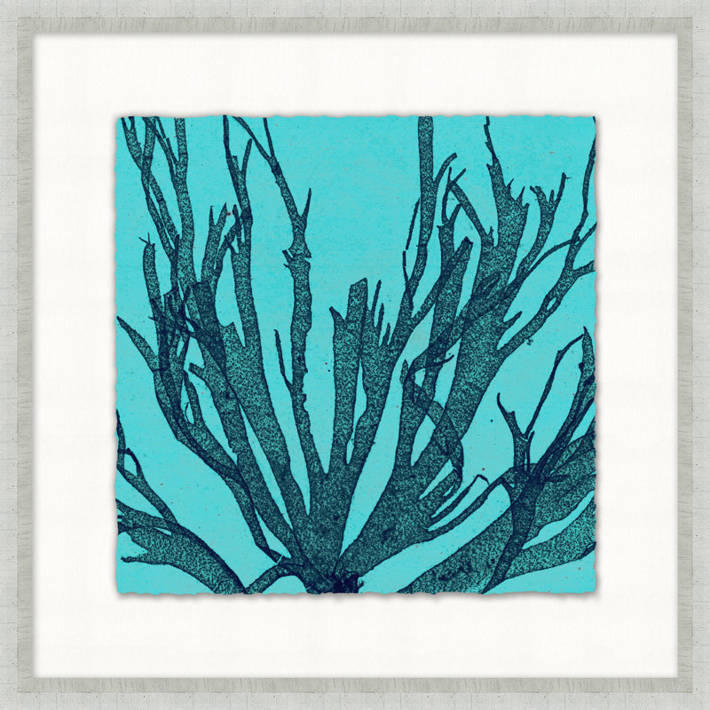 Heliopora Coerulea 6 Print
