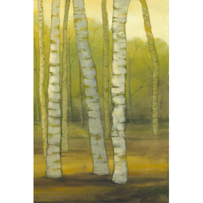 Sunny Birch Grove II - Wrapped Canvas Painting