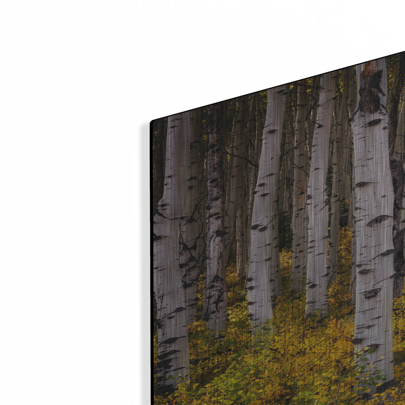 Mur en métal «Aspenglow» par Rick Berk, H 36 po x l 24 po