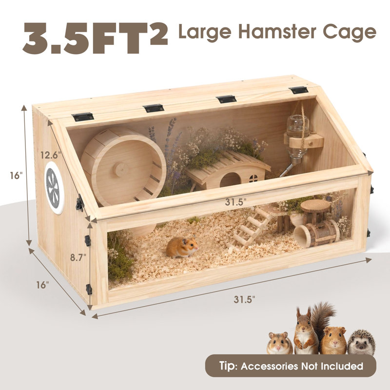 Habitat en bois pour hamster avec porte supérieure à charnières et panneau avant transparent