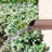 Outdoor Stainless Steel Waterfall Fountain-329093372