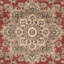 Tapis oriental performance rétro-580562566