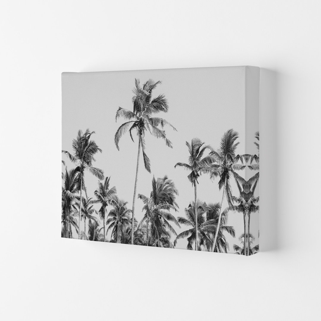 Palm Trees on the Beach II by Victoria Frost - Photograph Print